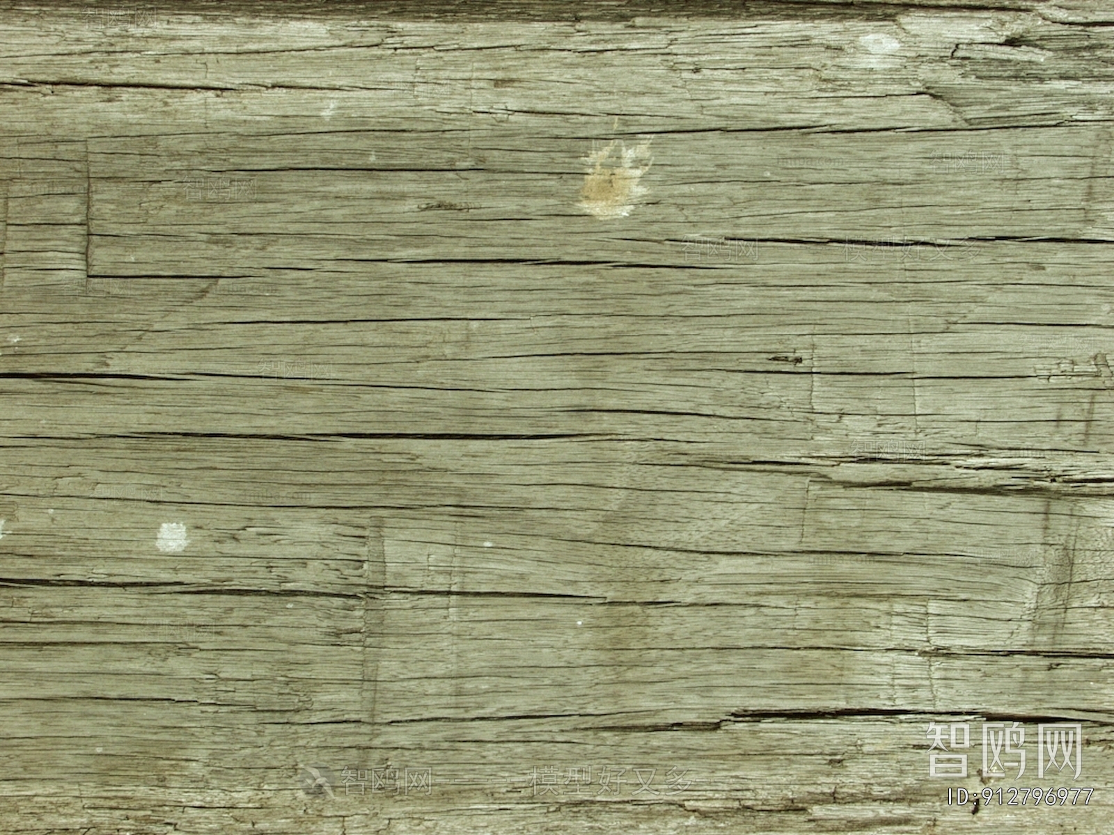 Wood Texture