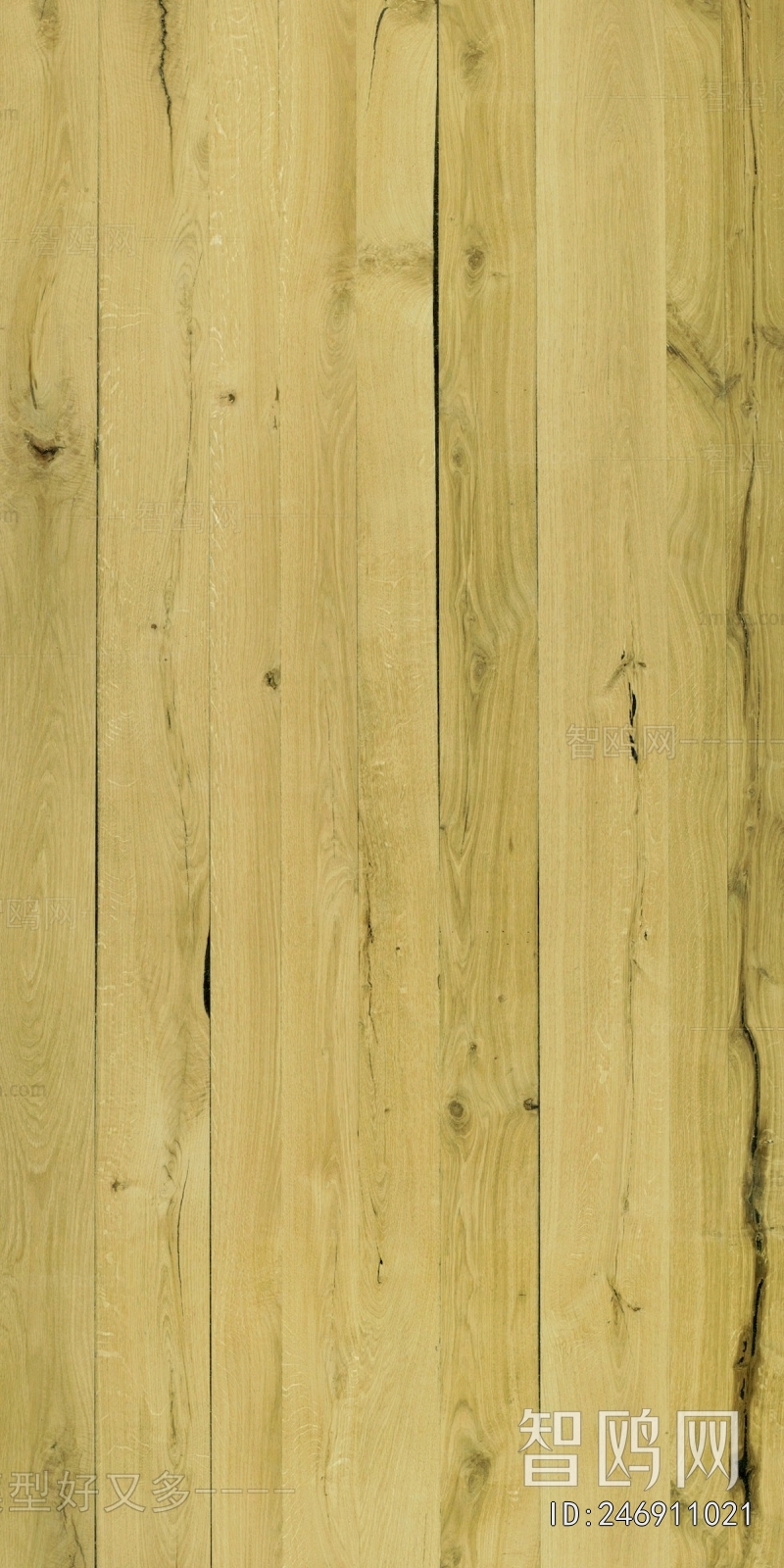 Wood Texture