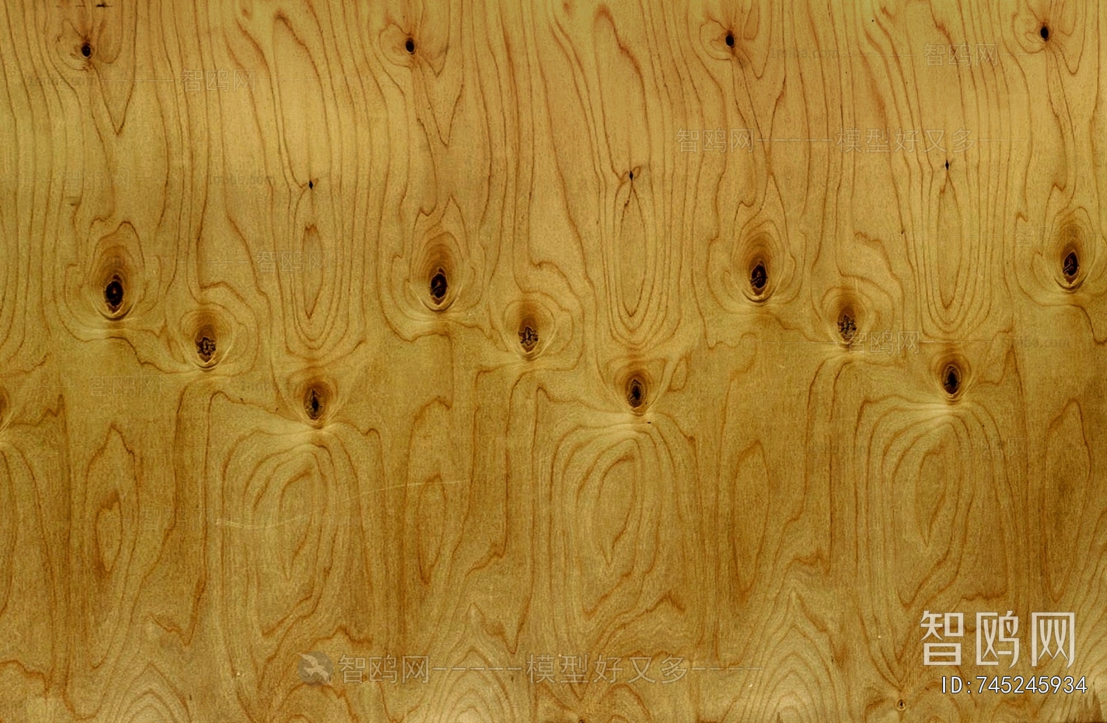 Wood Texture