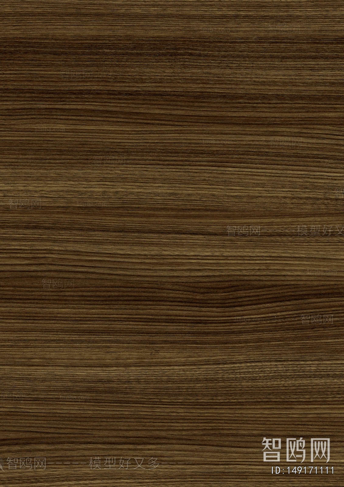 Wood Texture