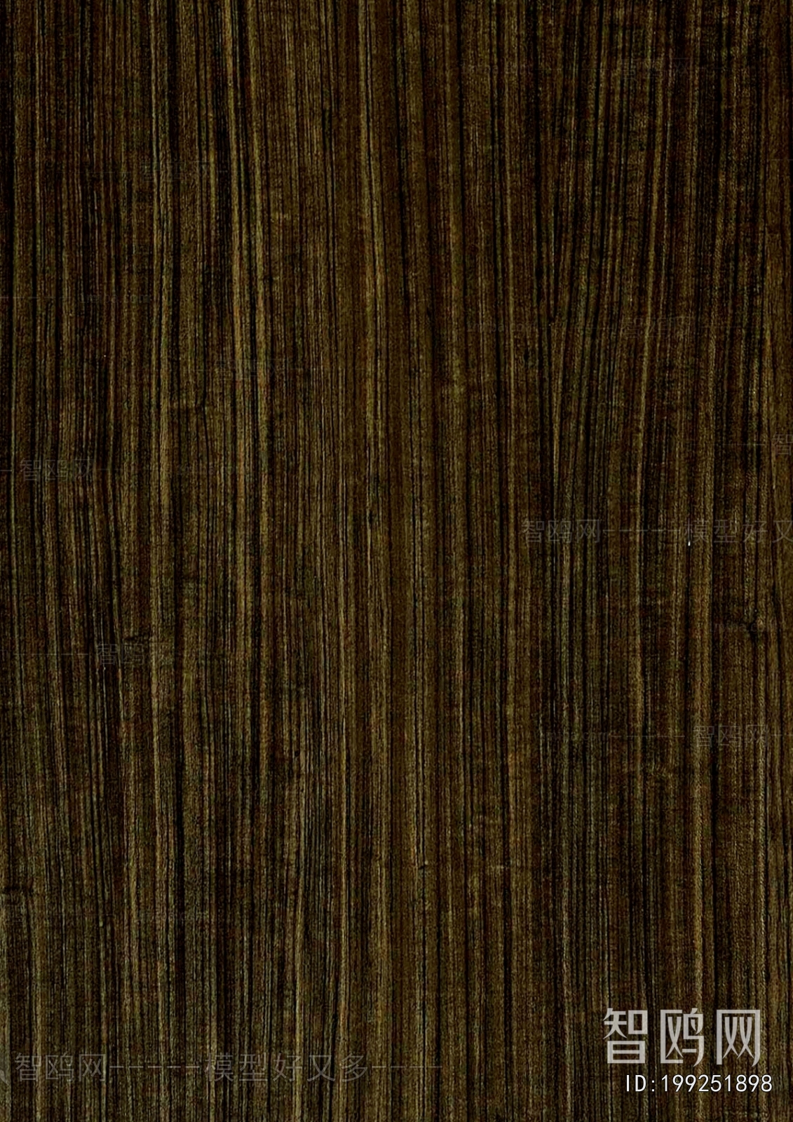 Wood Texture