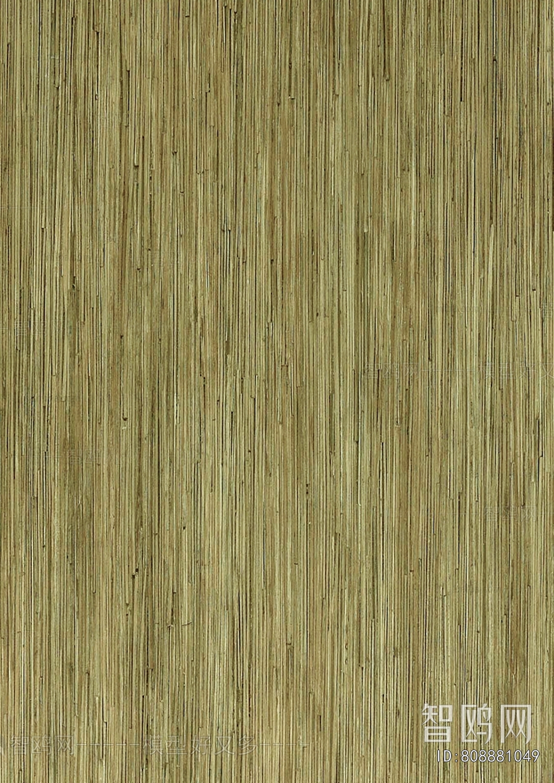 Wood Texture