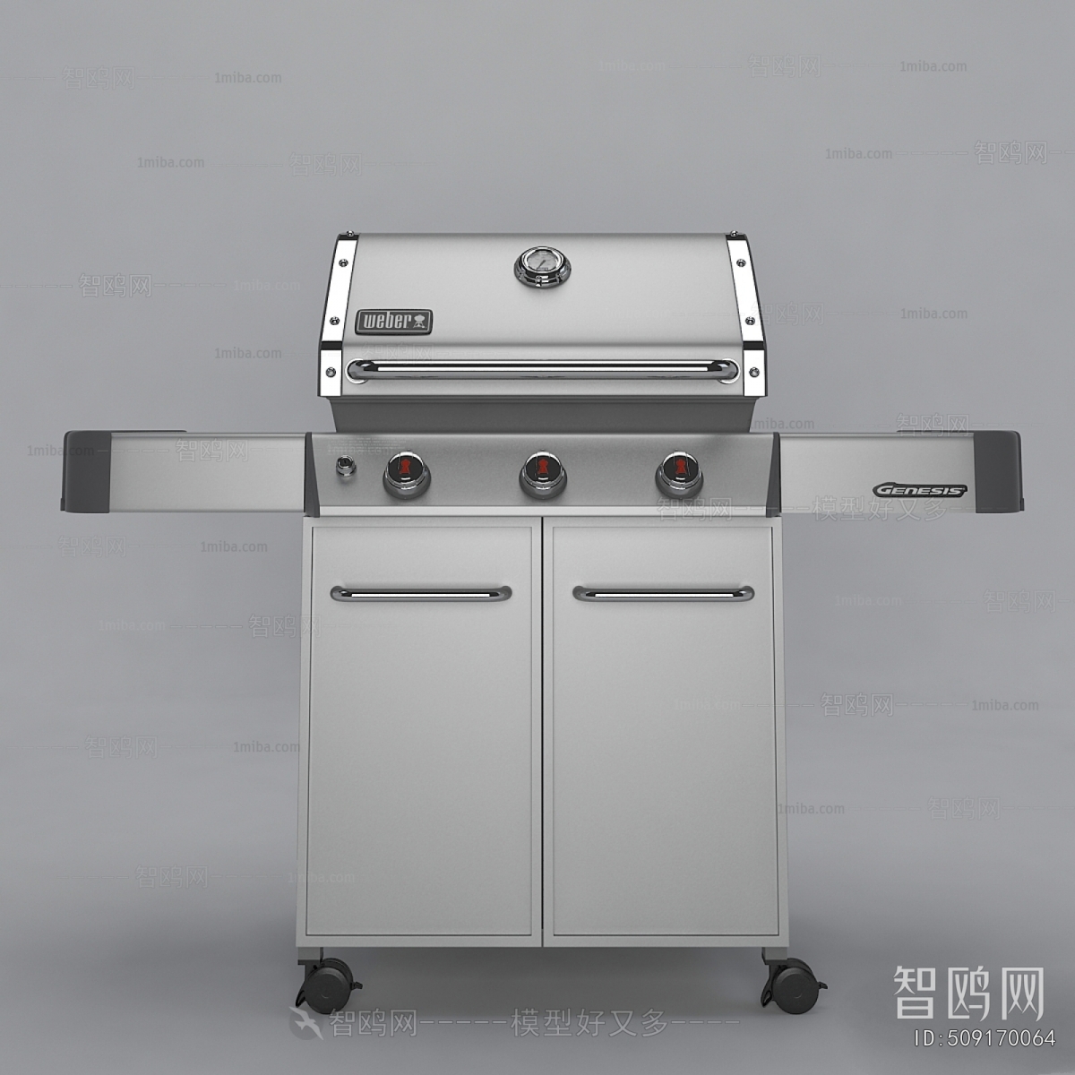 Modern Kitchen Electric Gas Range