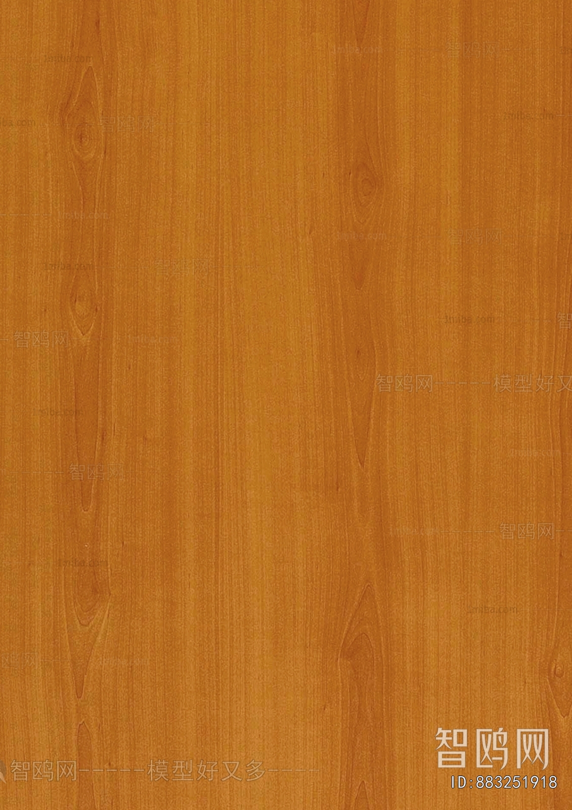 Wood Texture