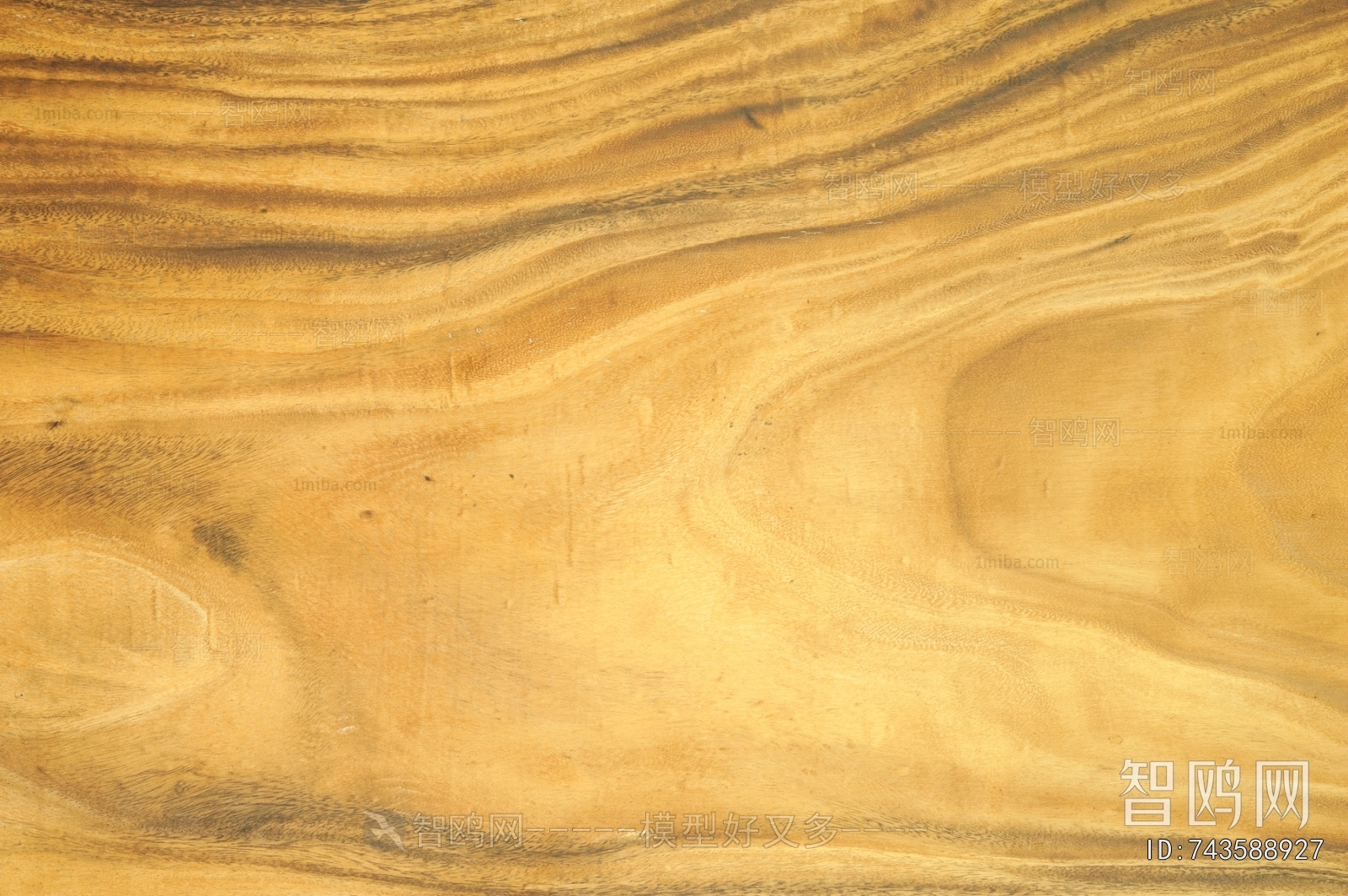 Wood Texture