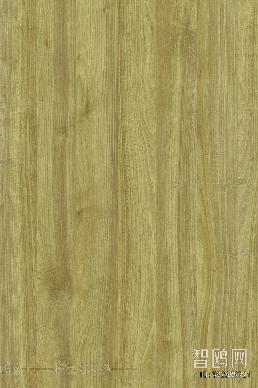 Wood Texture