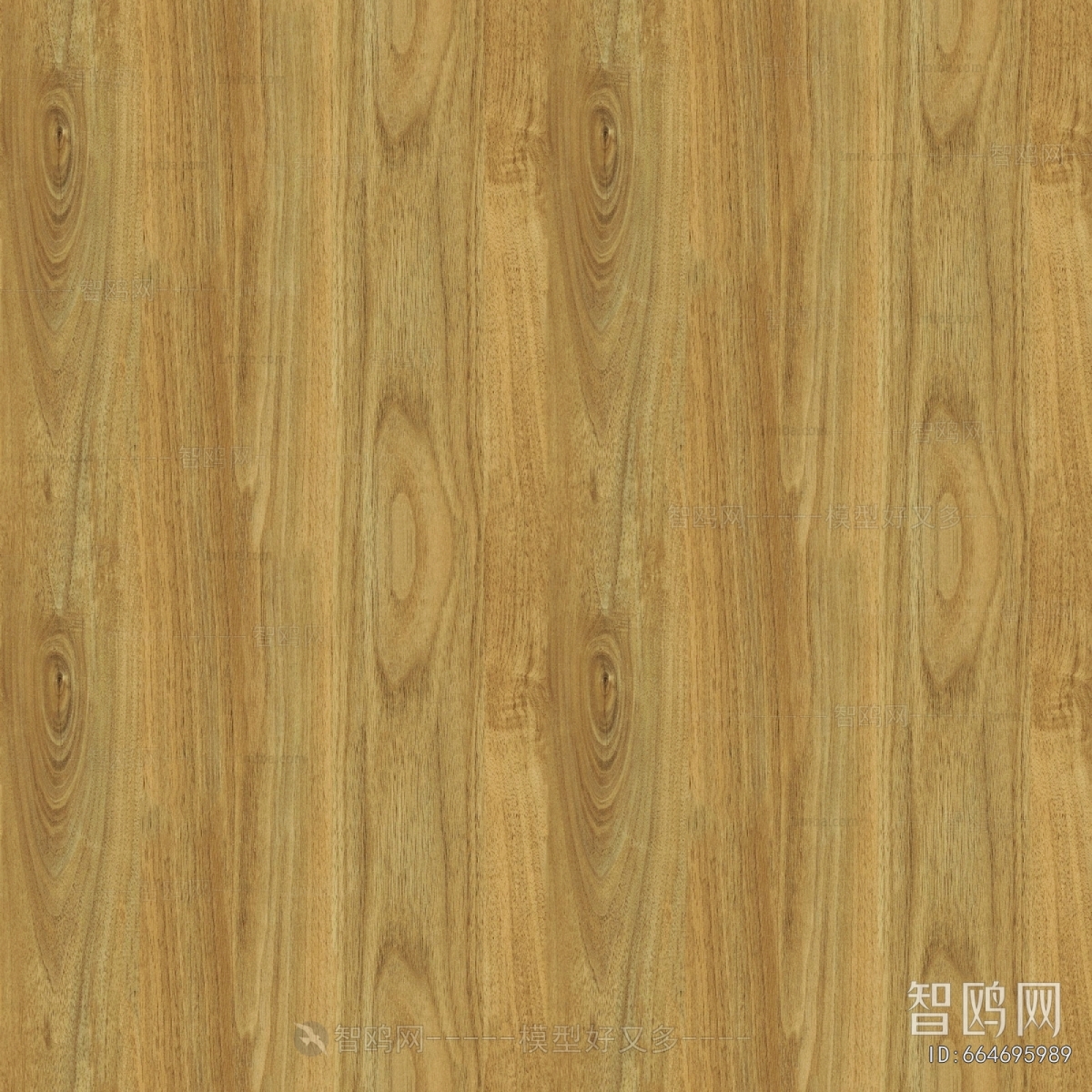 Wood Texture
