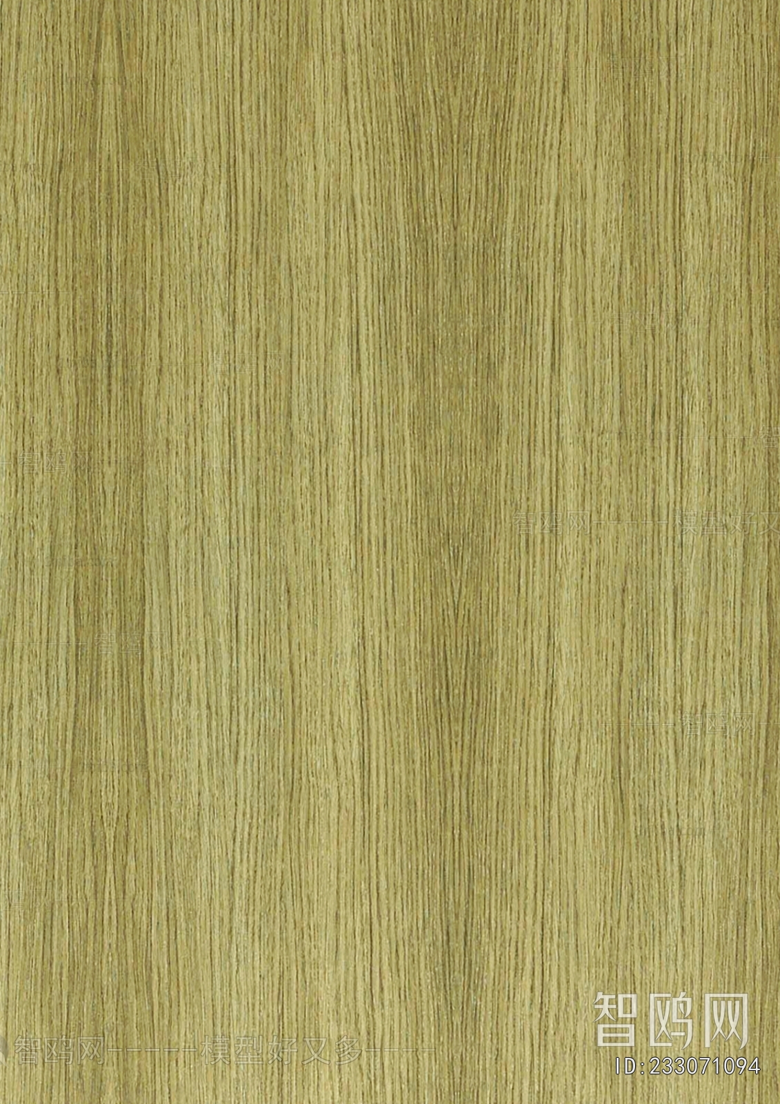 Wood Texture
