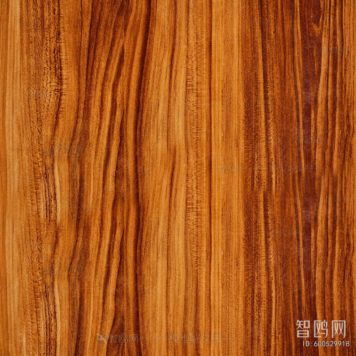 Wood Texture