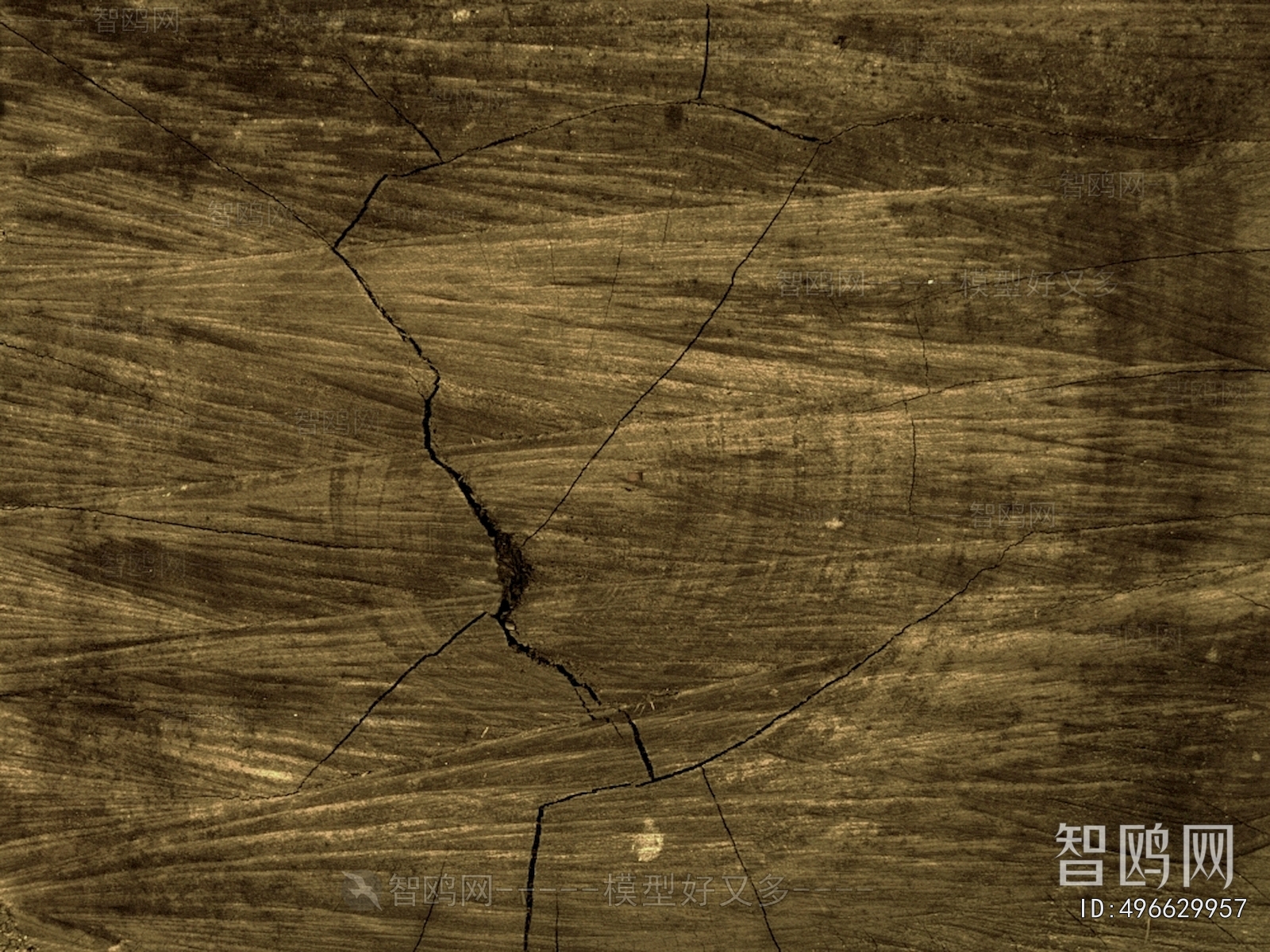 Wood Texture