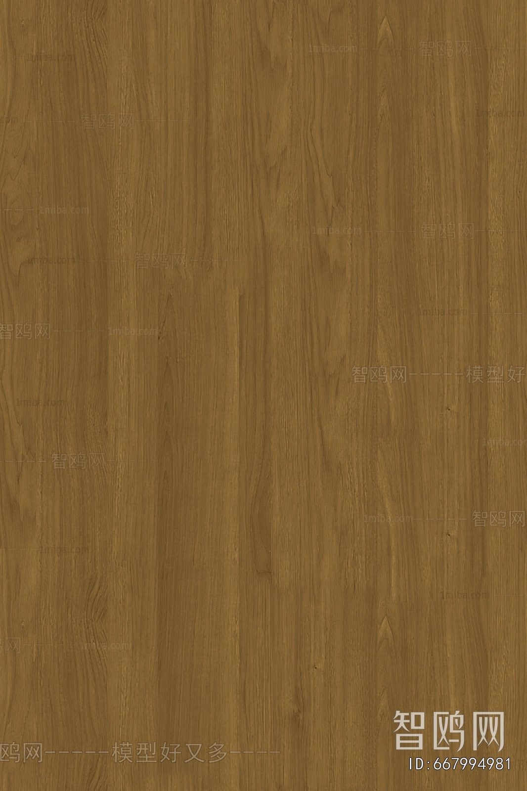 Wood Texture