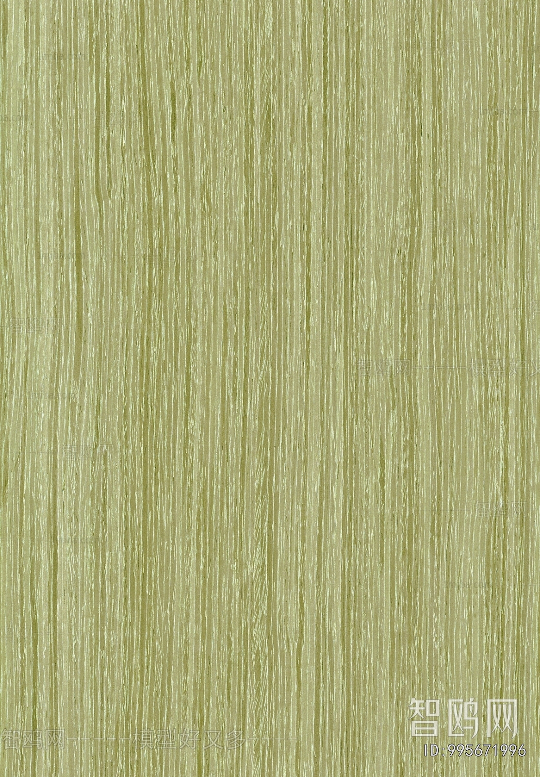 Wood Texture