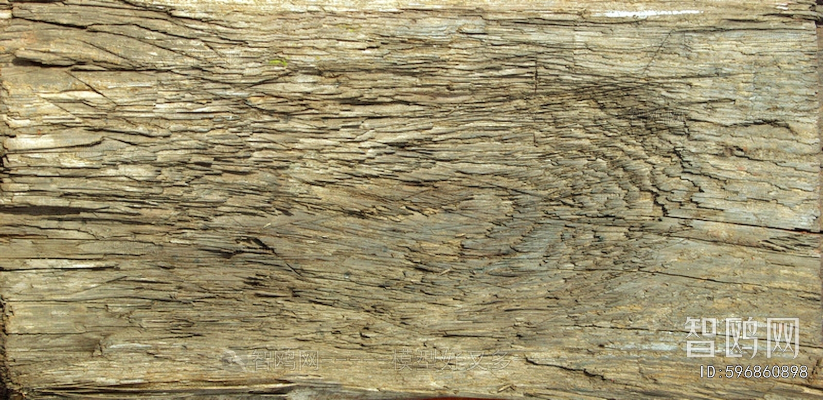 Wood Texture