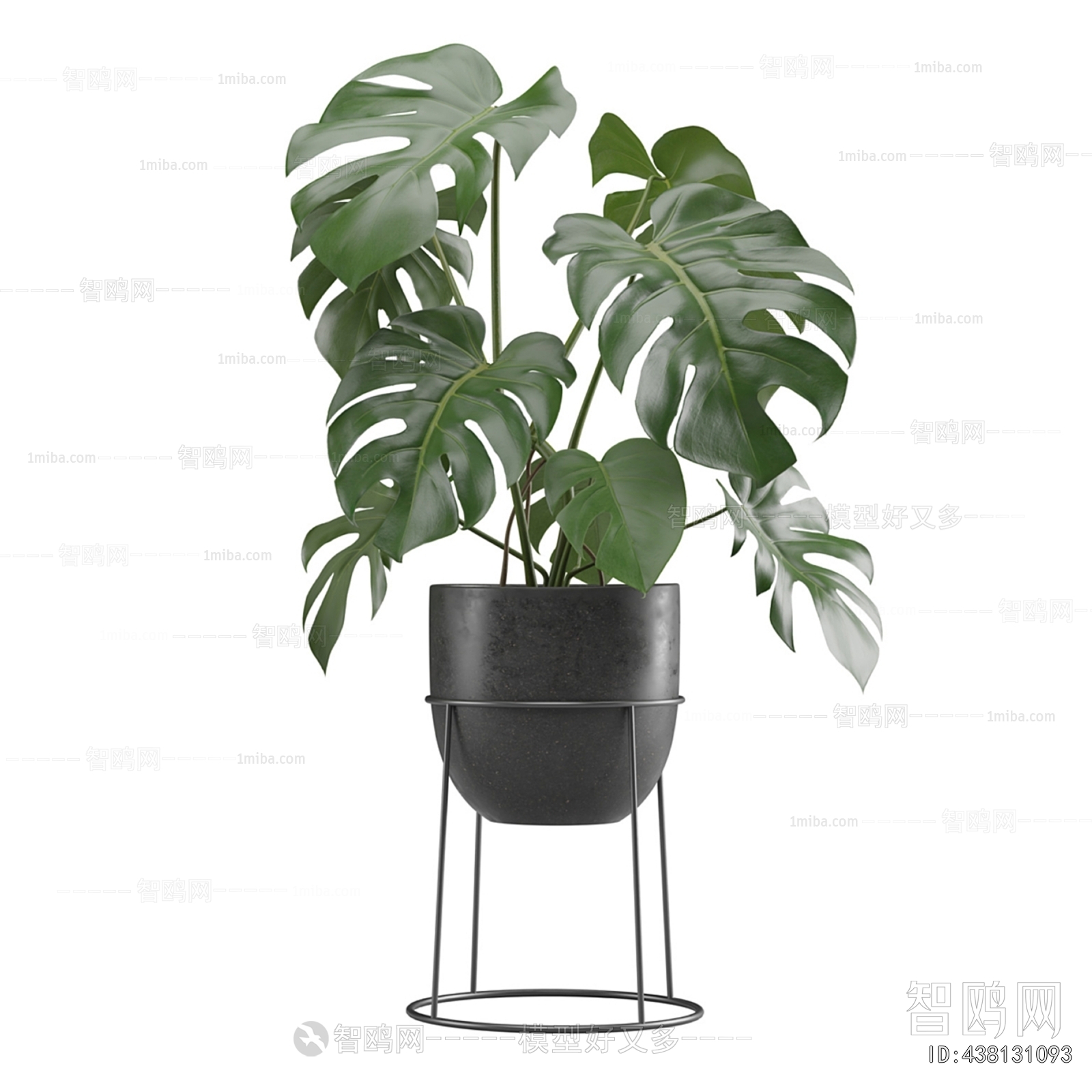 Modern Potted Green Plant