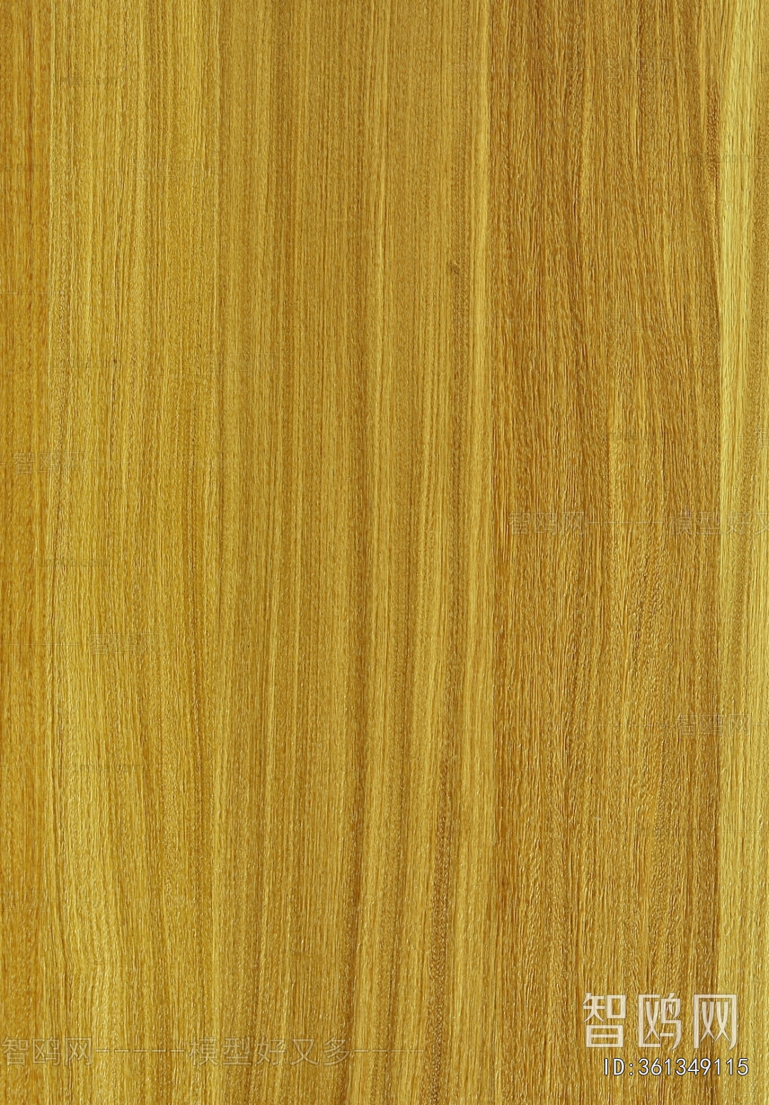 Wood Texture