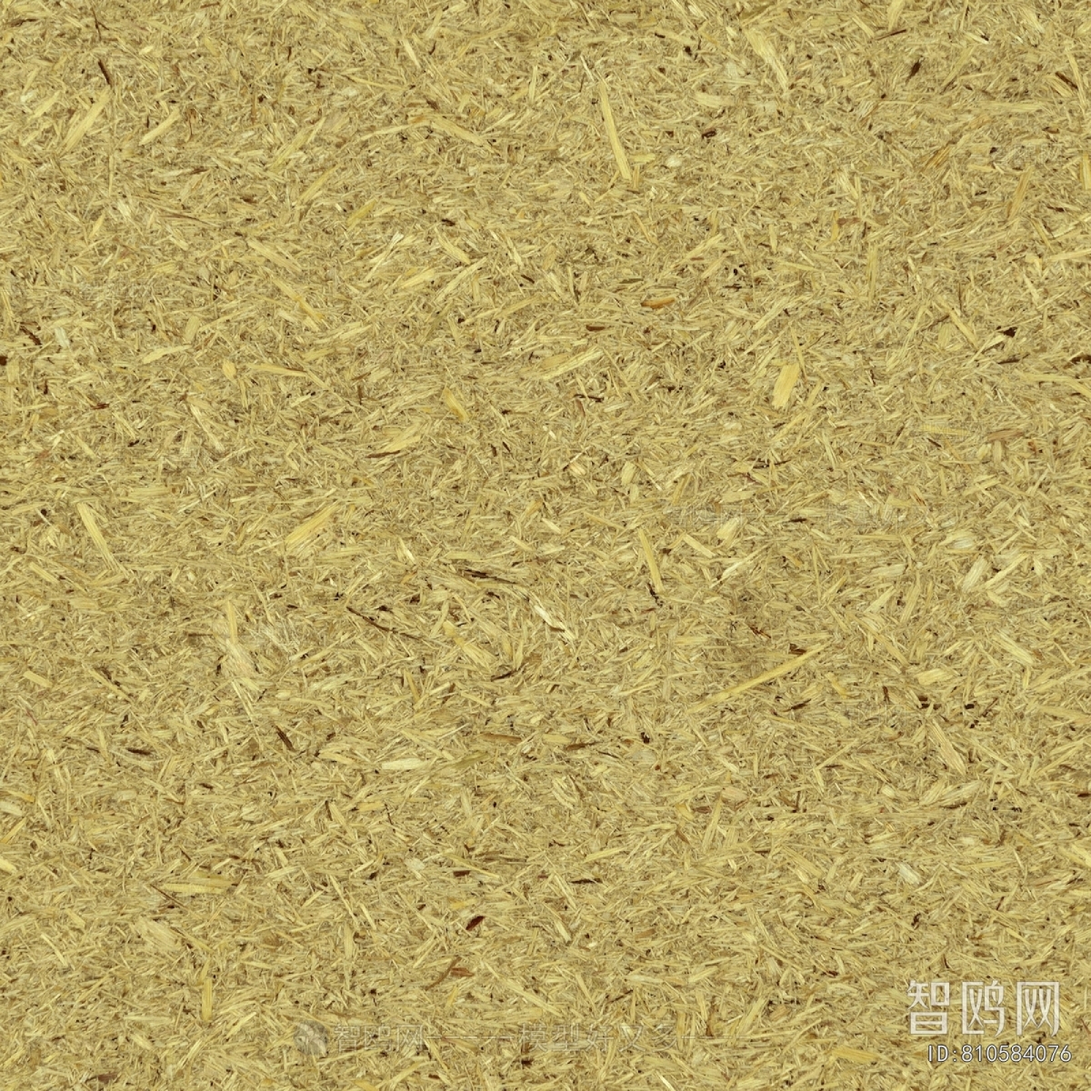 Plywood Texture