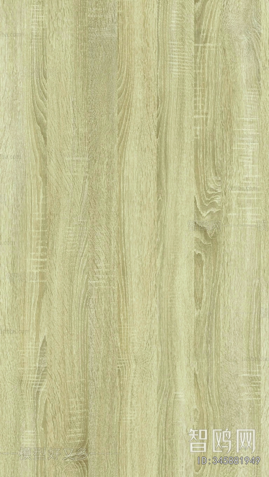 Wood Texture