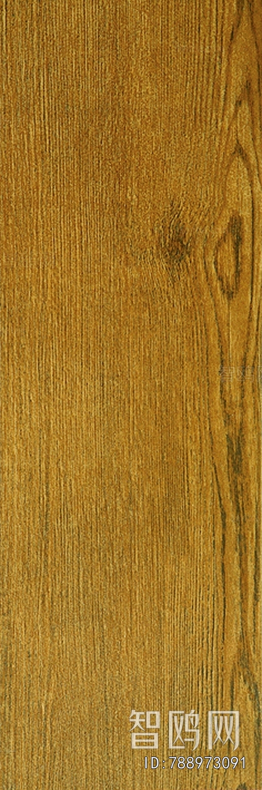 Wood Texture