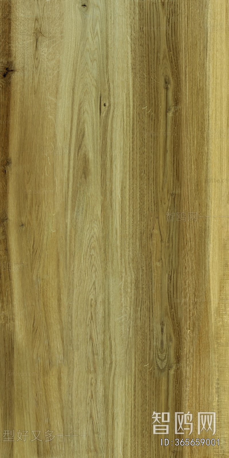 Wood Texture