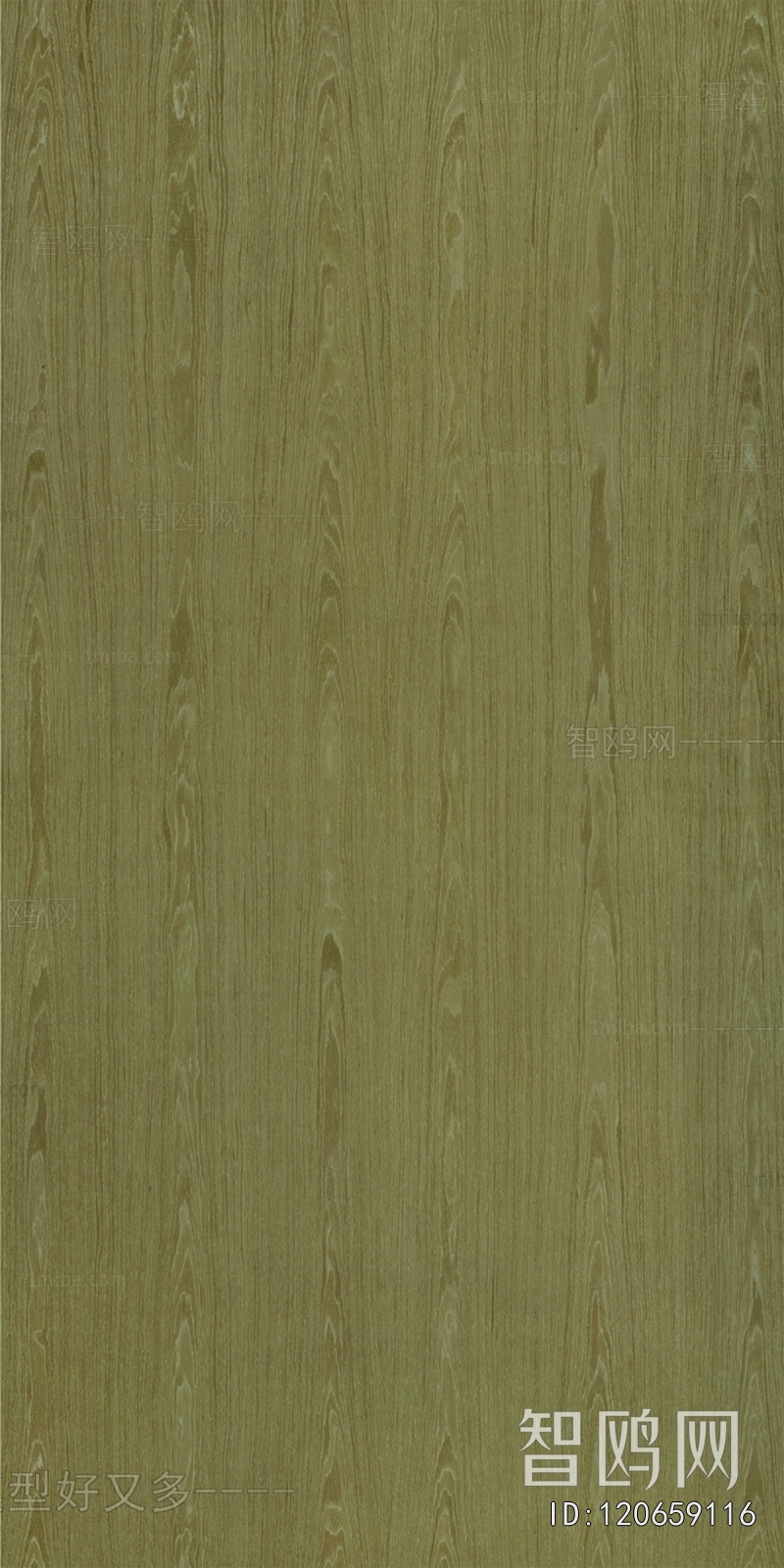 Wood Texture