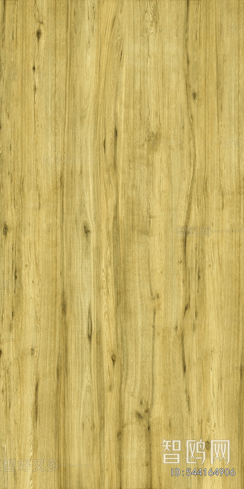 Wood Texture