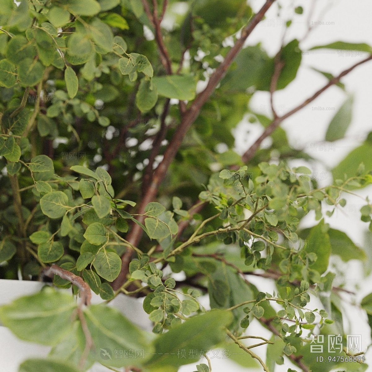 Modern Ground Green Plant Potted Plants