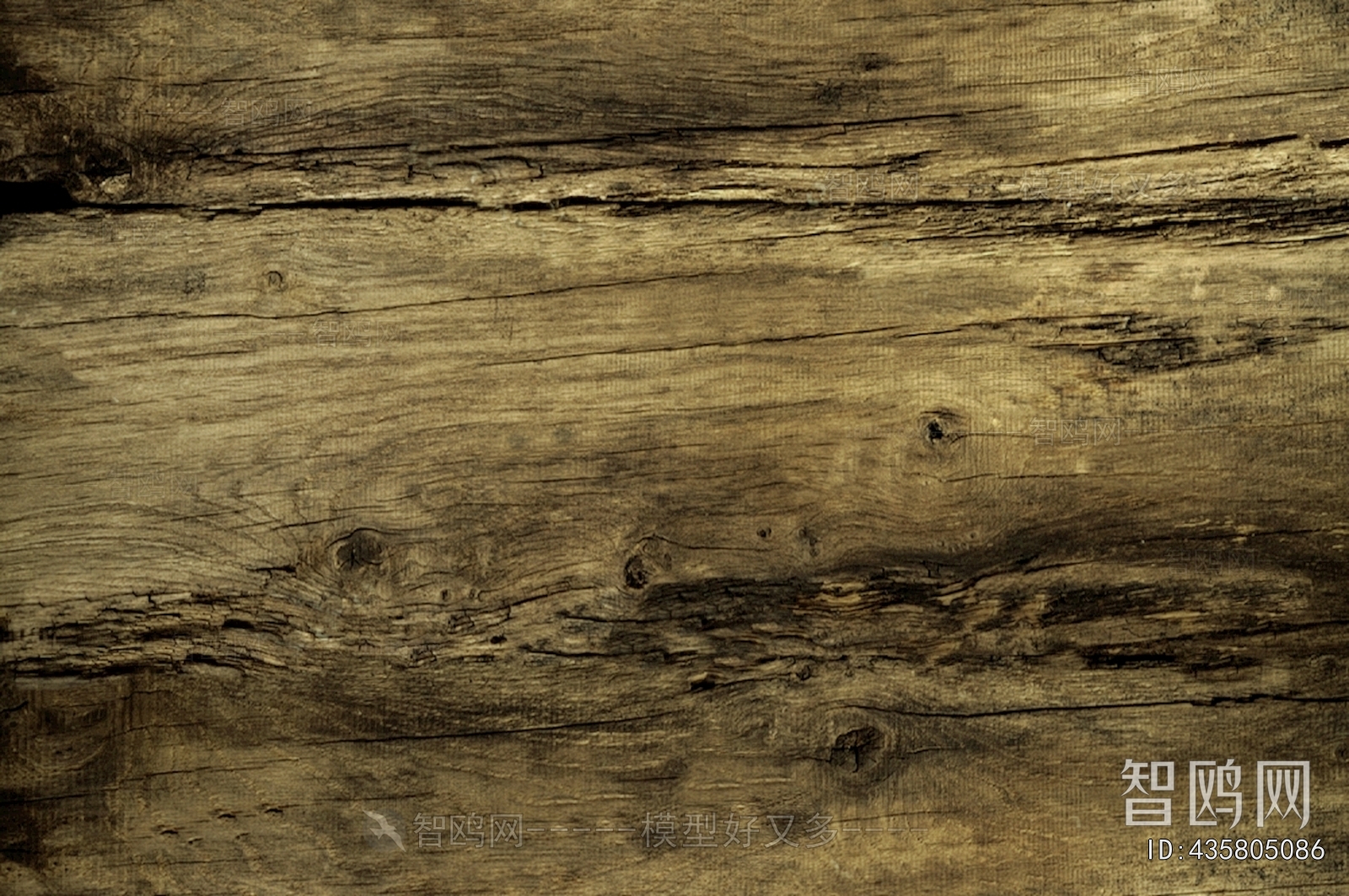 Wood Texture
