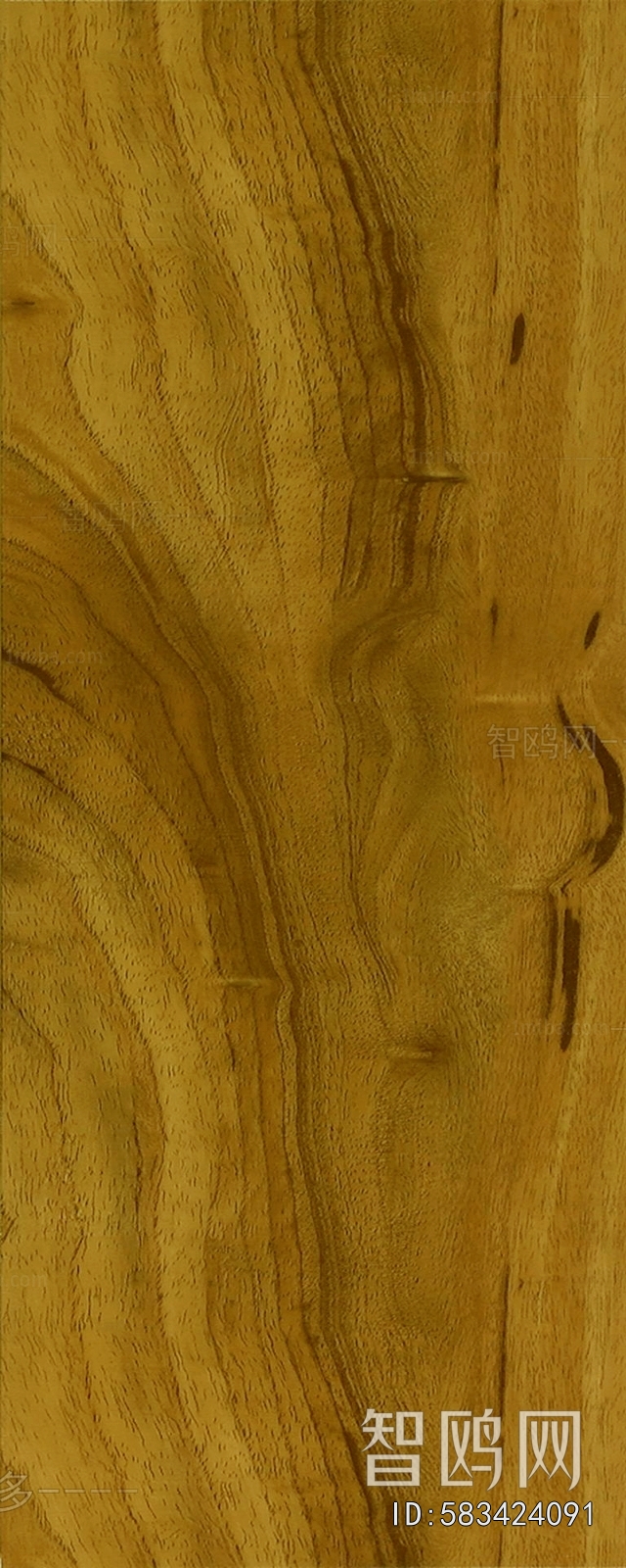 Wood Texture