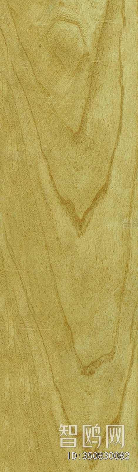 Wood Texture