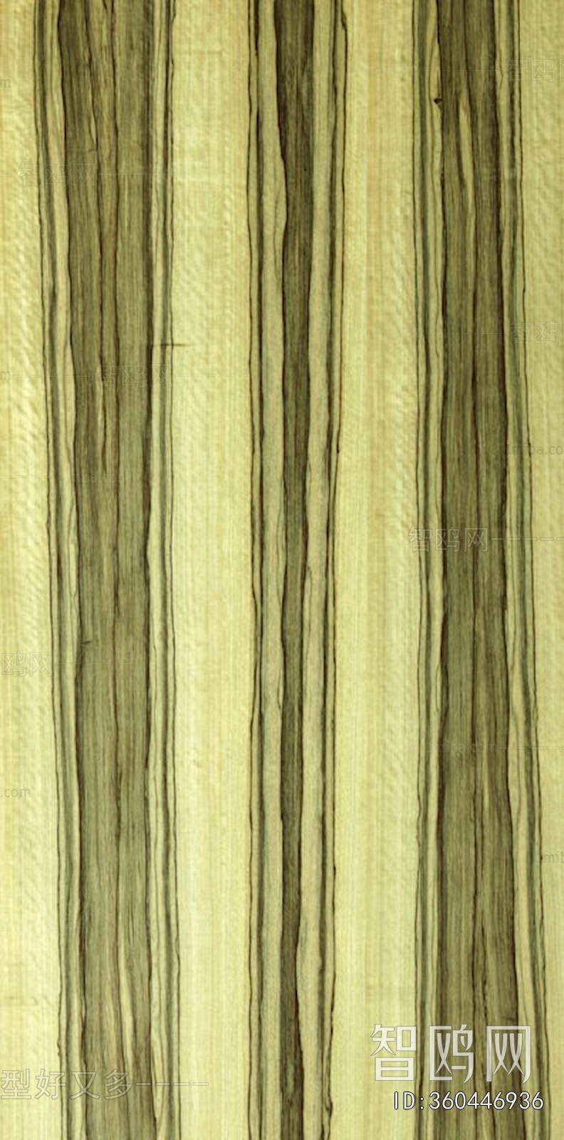 Wood Texture