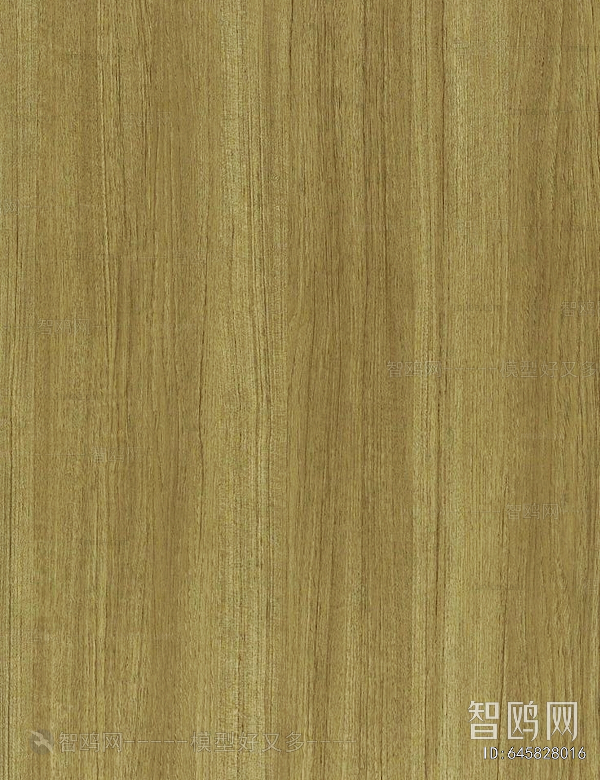 Wood Texture