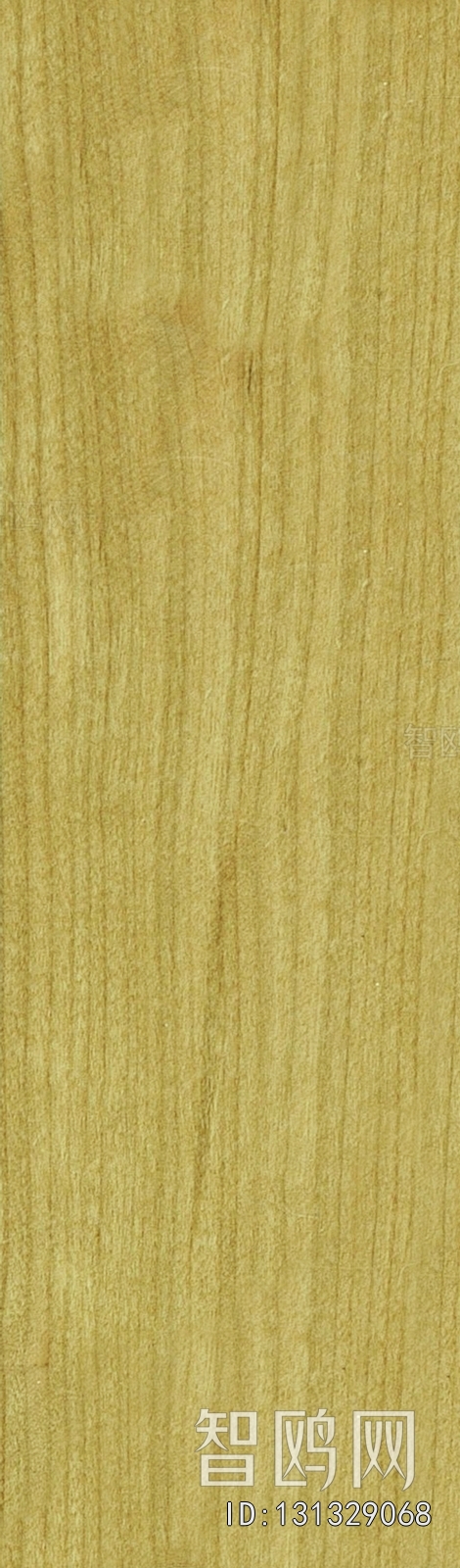 Wood Texture