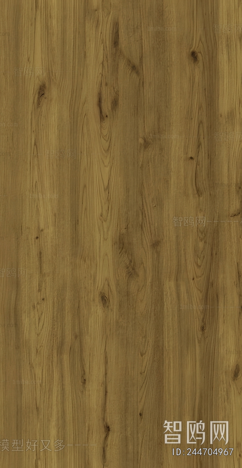 Wood Texture