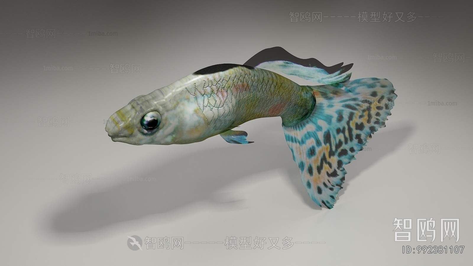 Modern Aquatic Animals