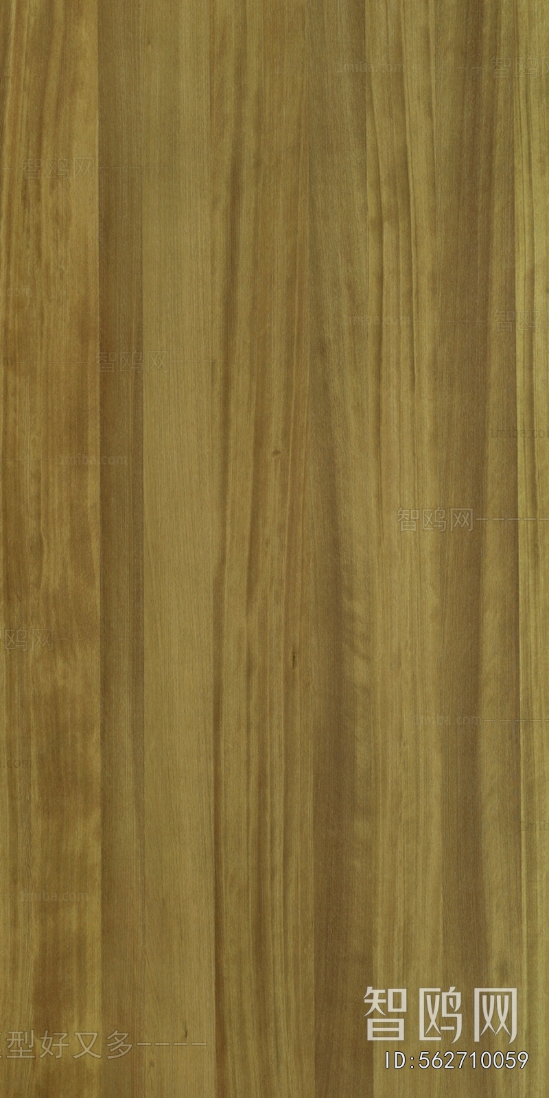 Wood Texture