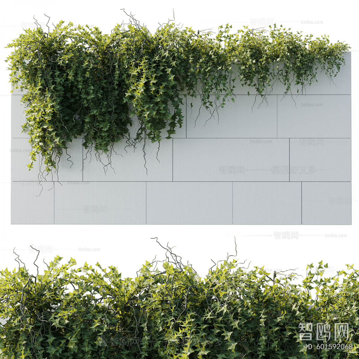 Modern Plant Wall