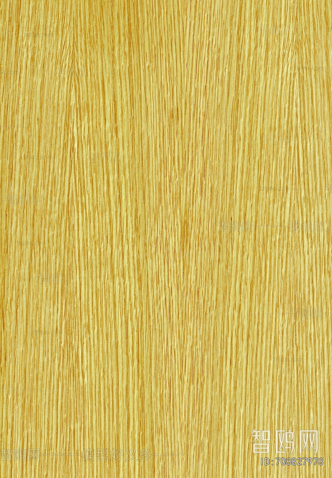 Wood Texture
