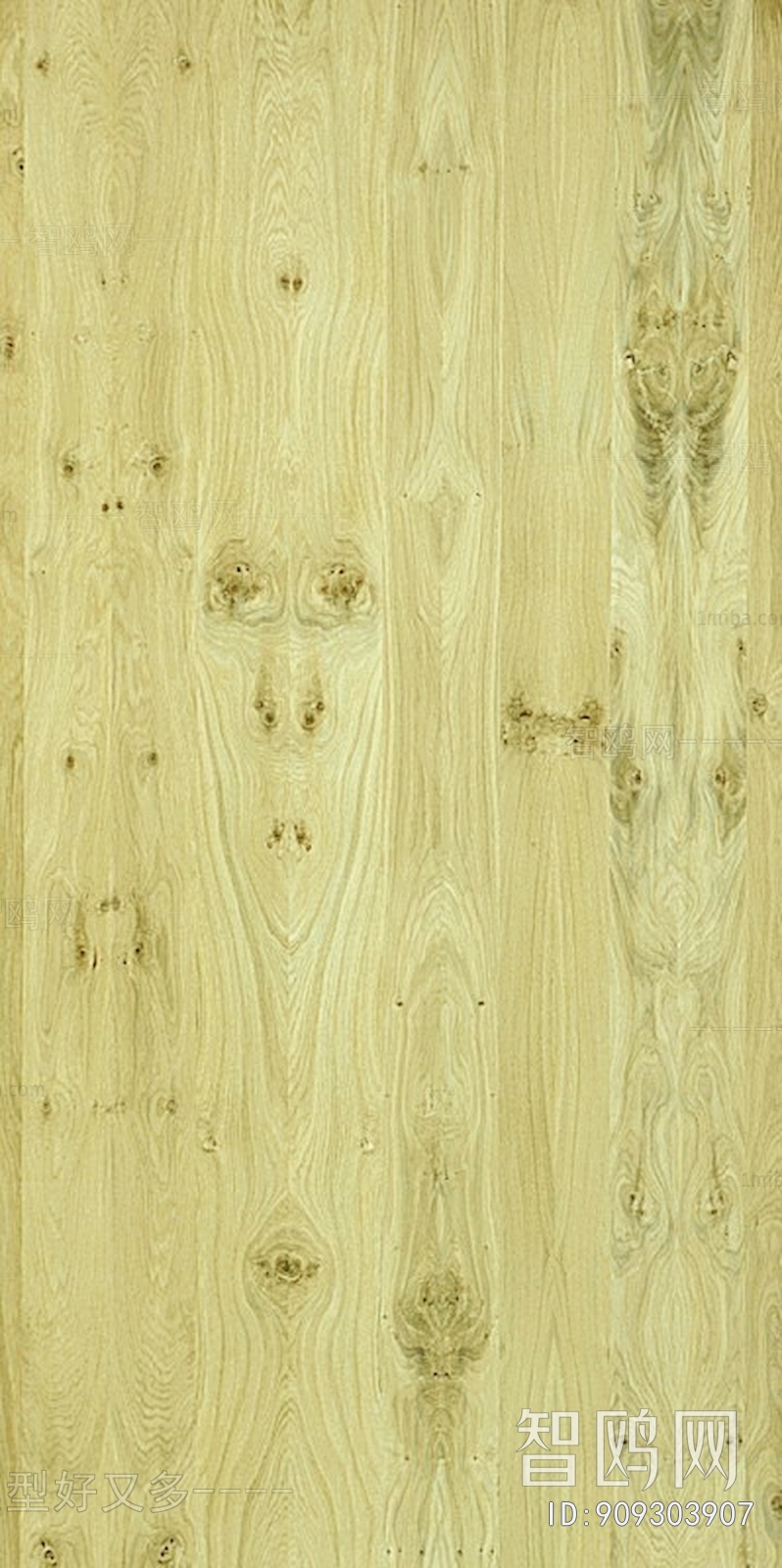 Wood Texture