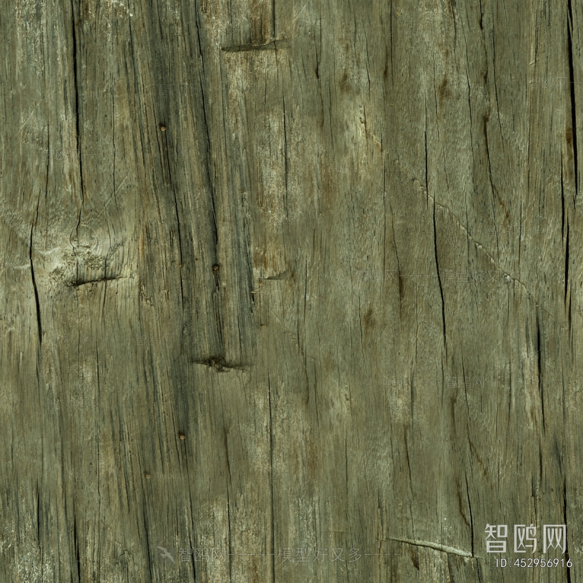 Wood Texture