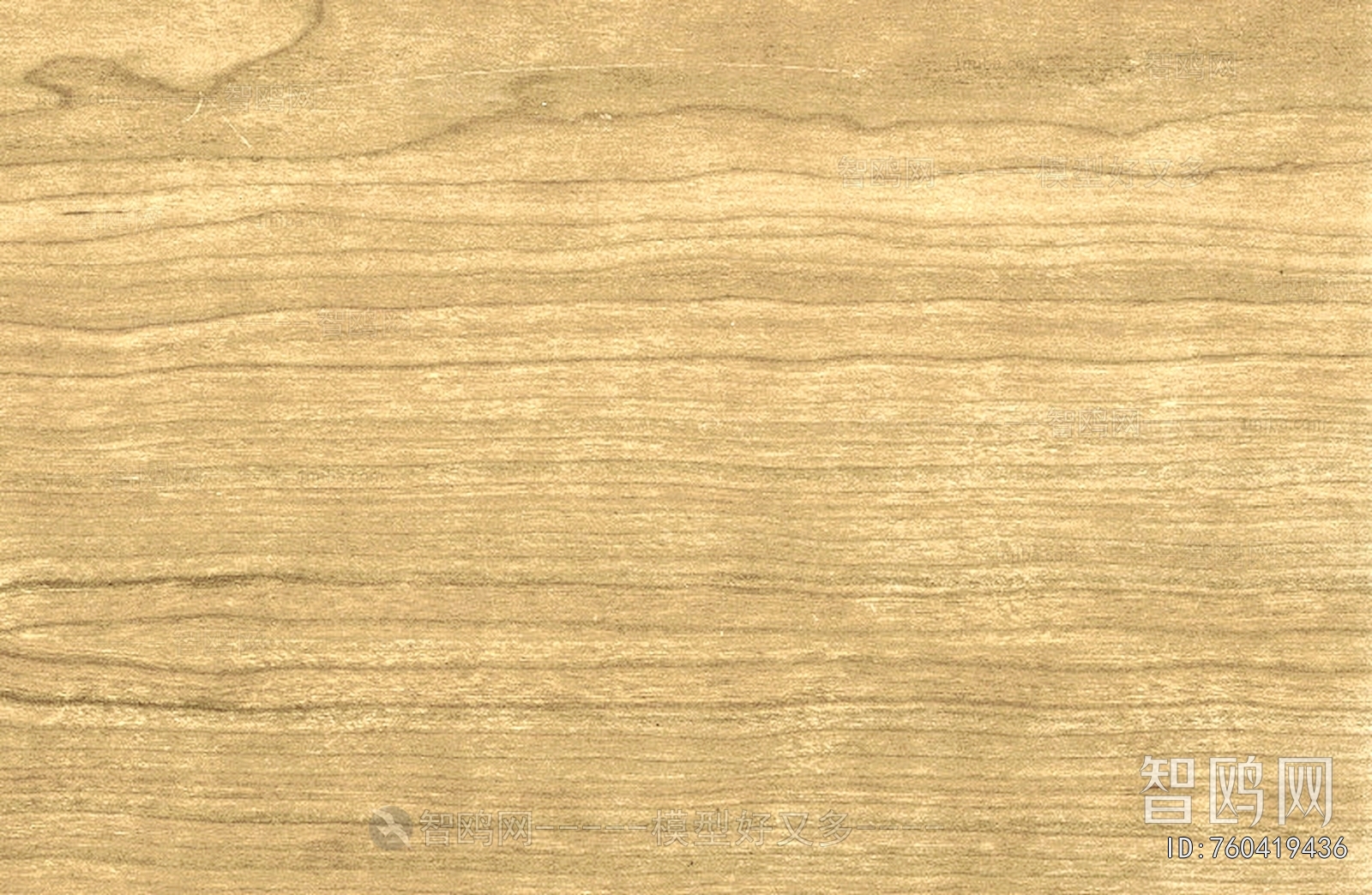 Wood Texture