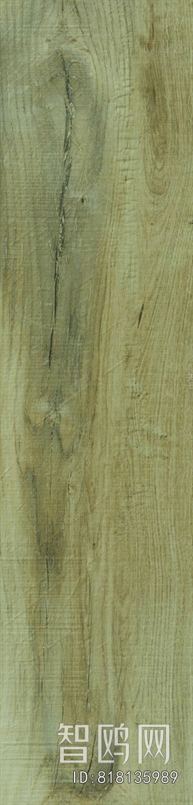 Wood Texture