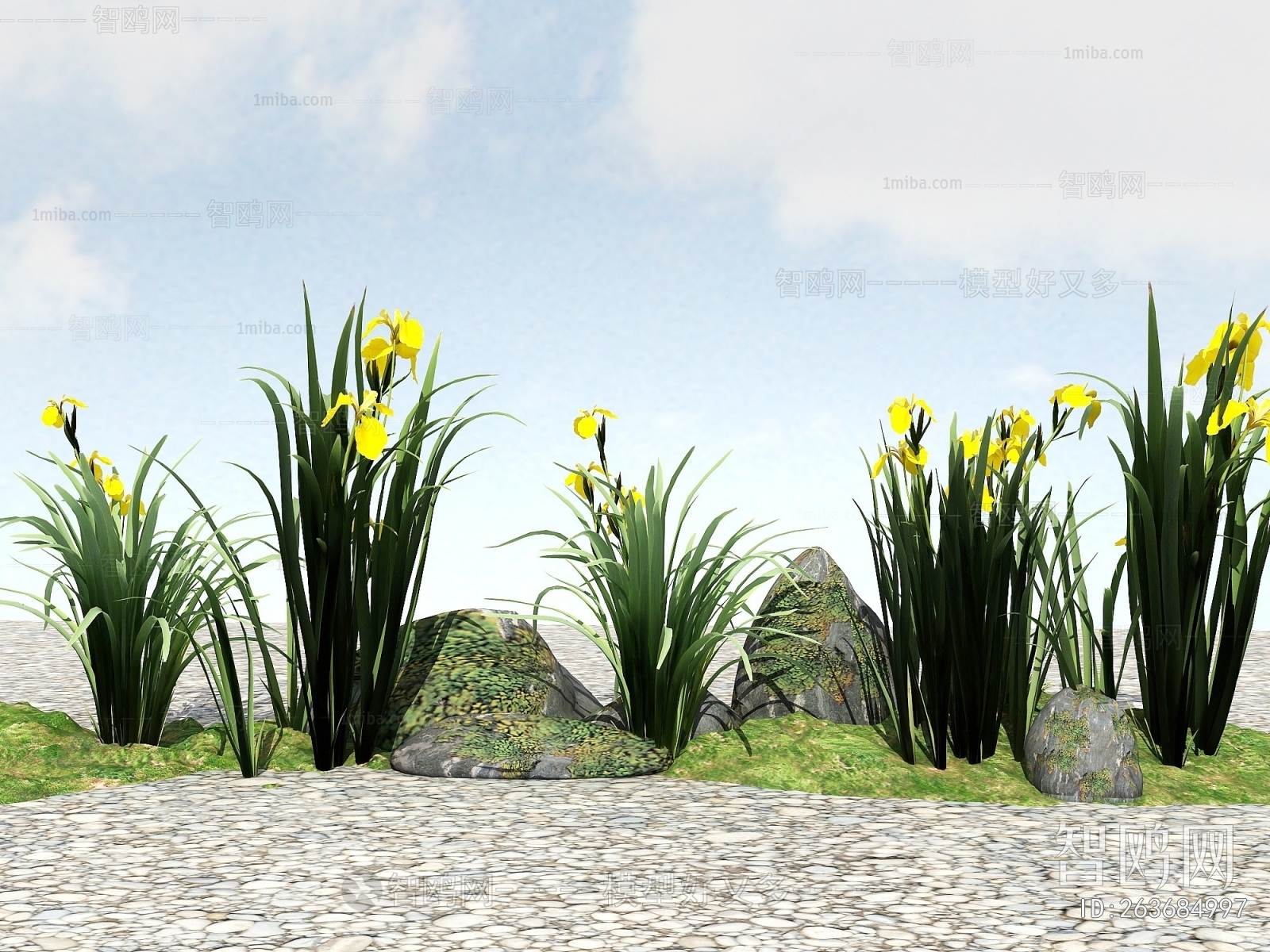 Modern Flowers And Grass