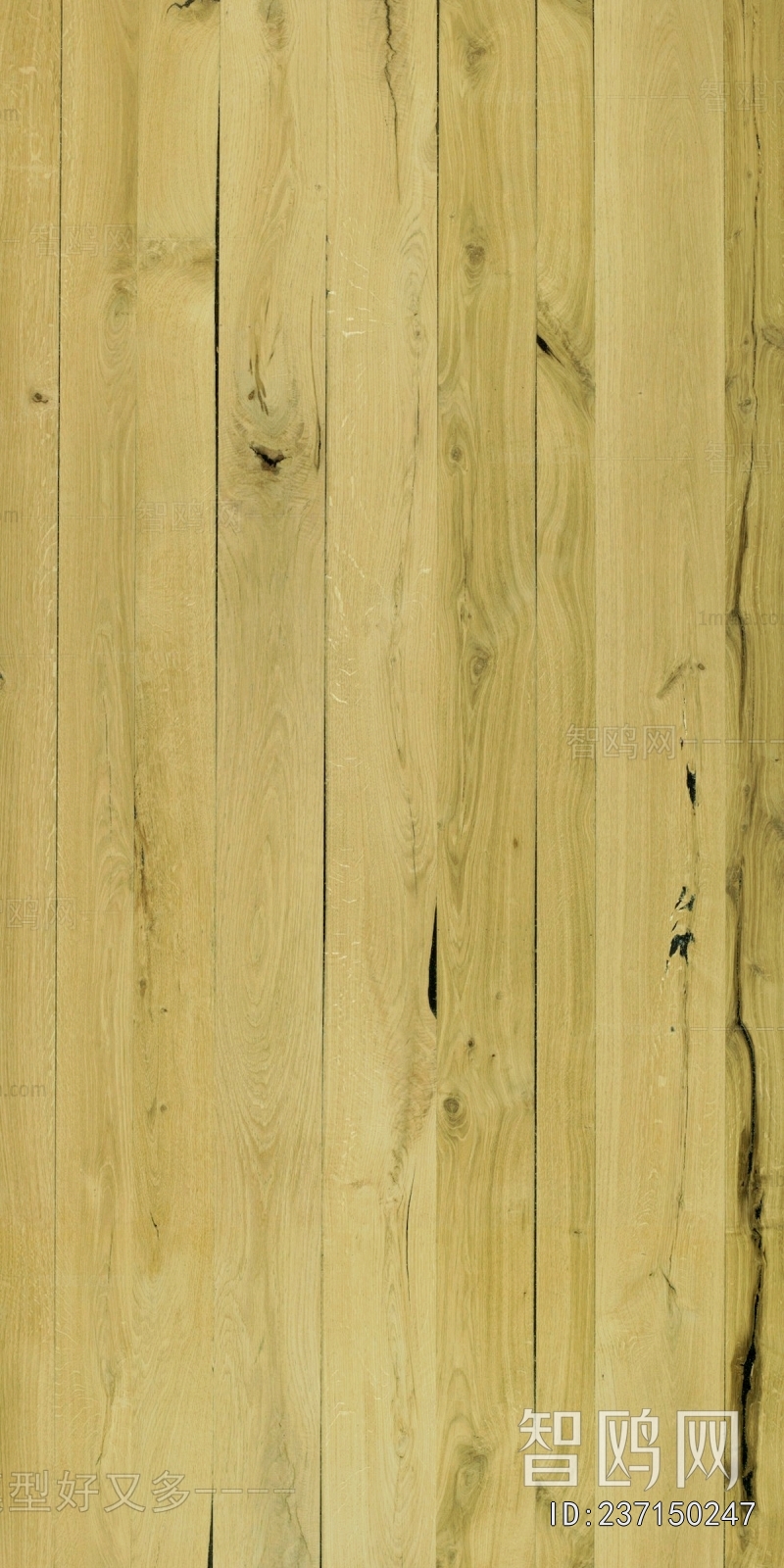 Wood Texture