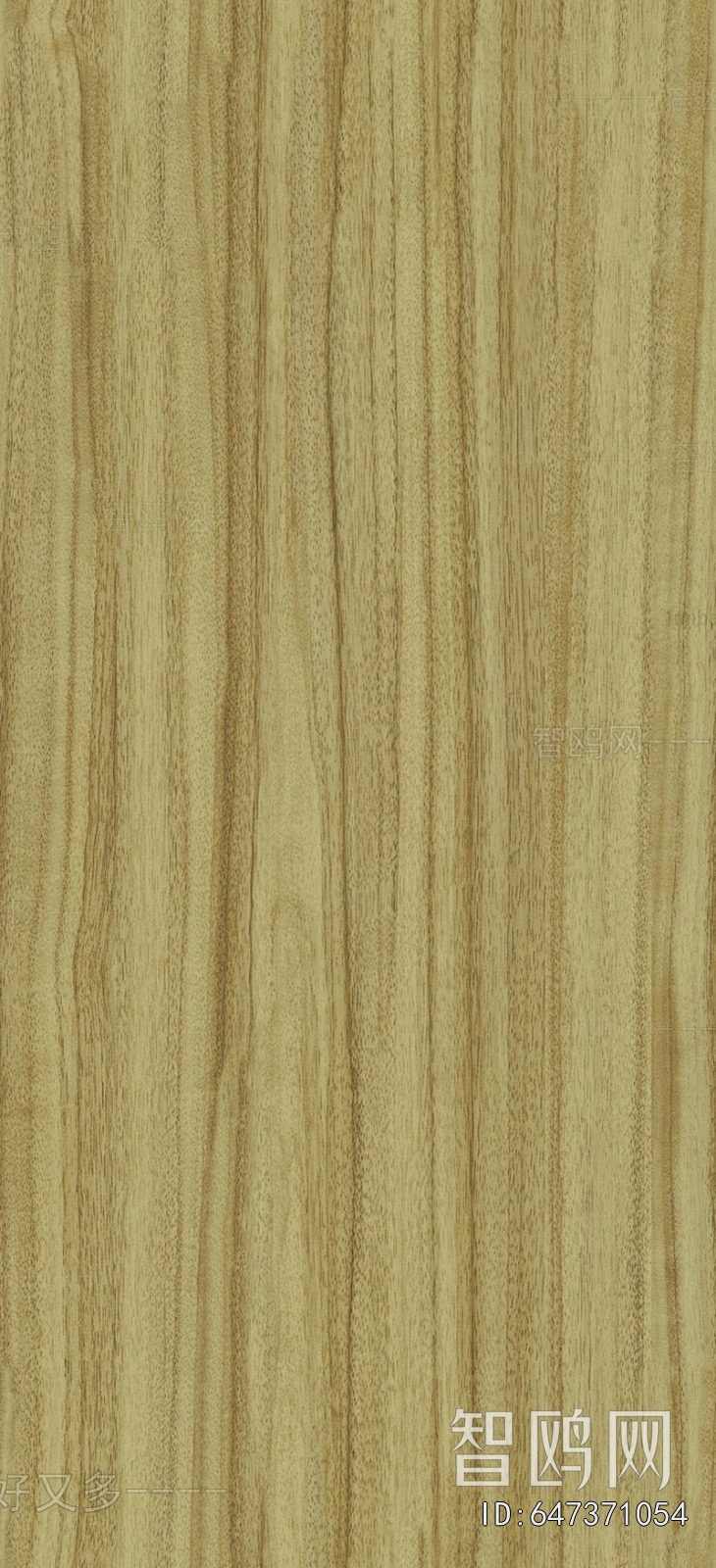 Wood Texture