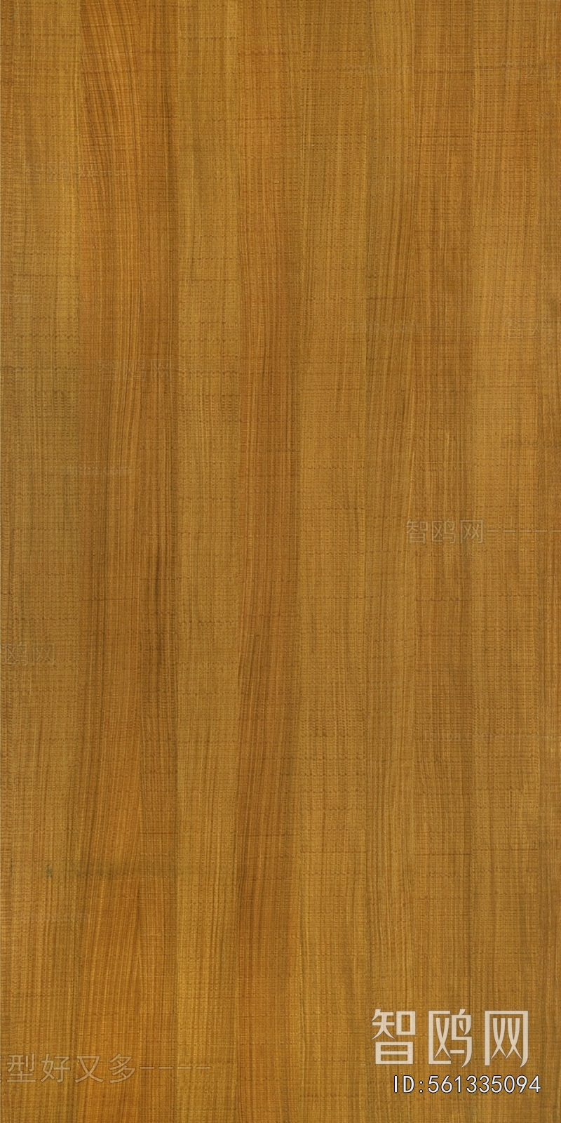 Wood Texture