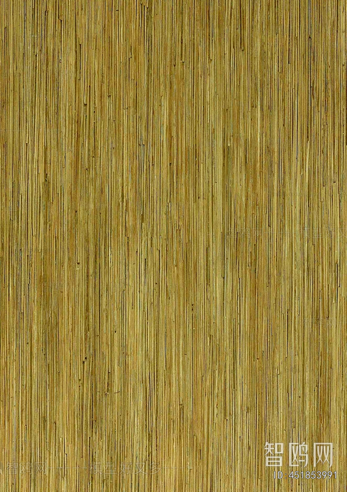 Wood Texture