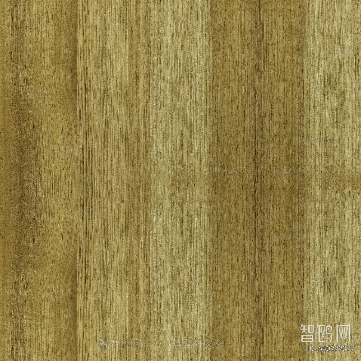 Wood Texture