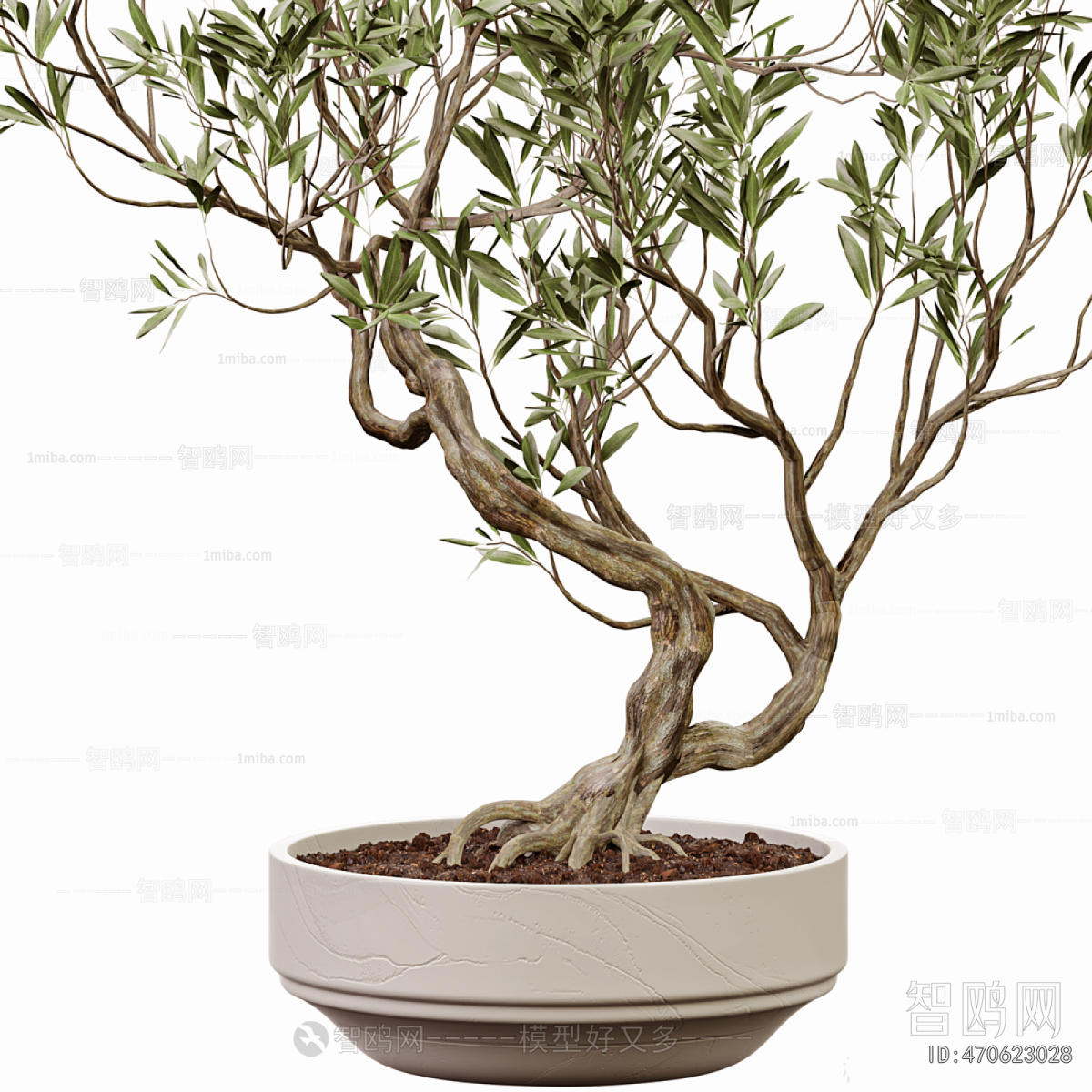 Modern Bonsai