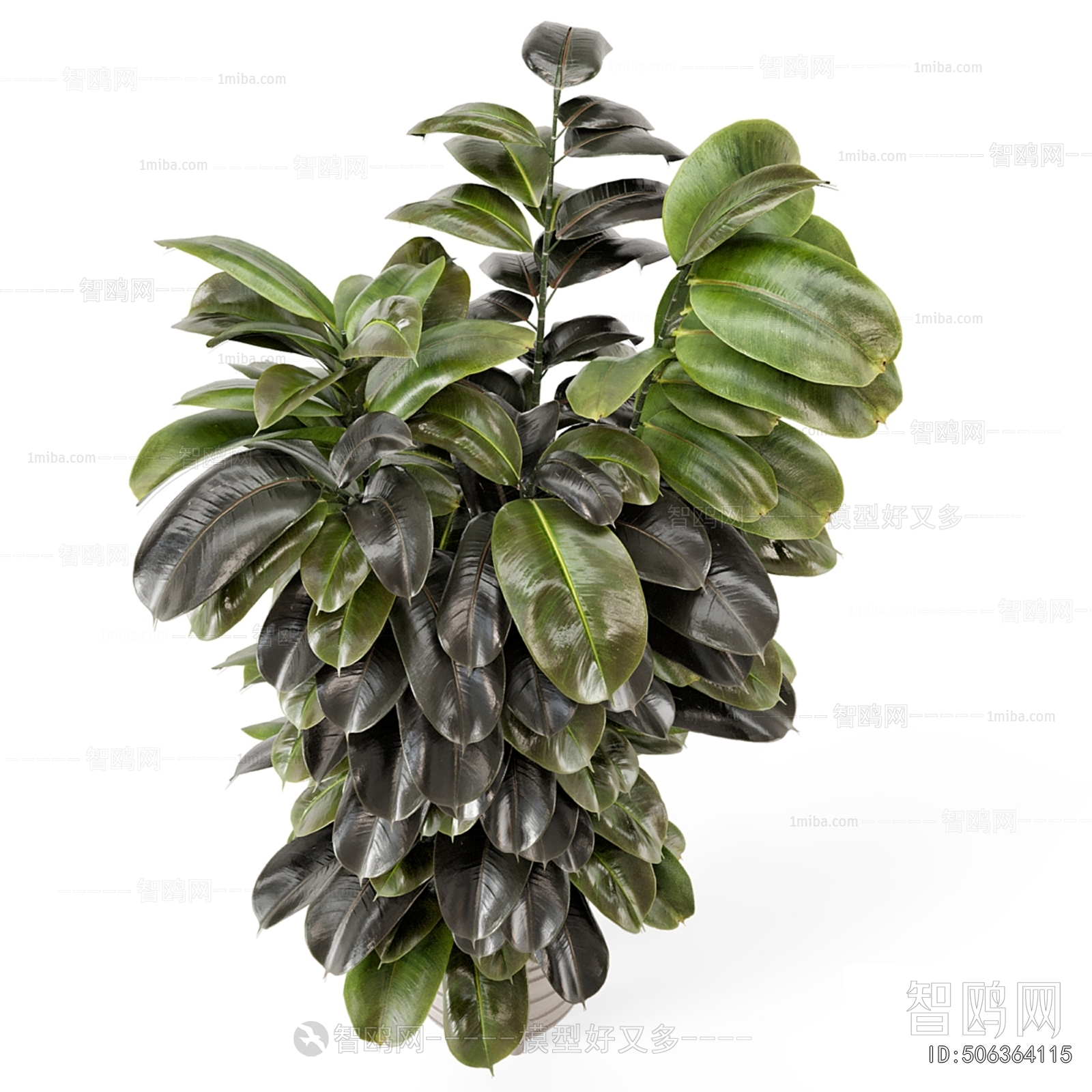 Modern Potted Green Plant