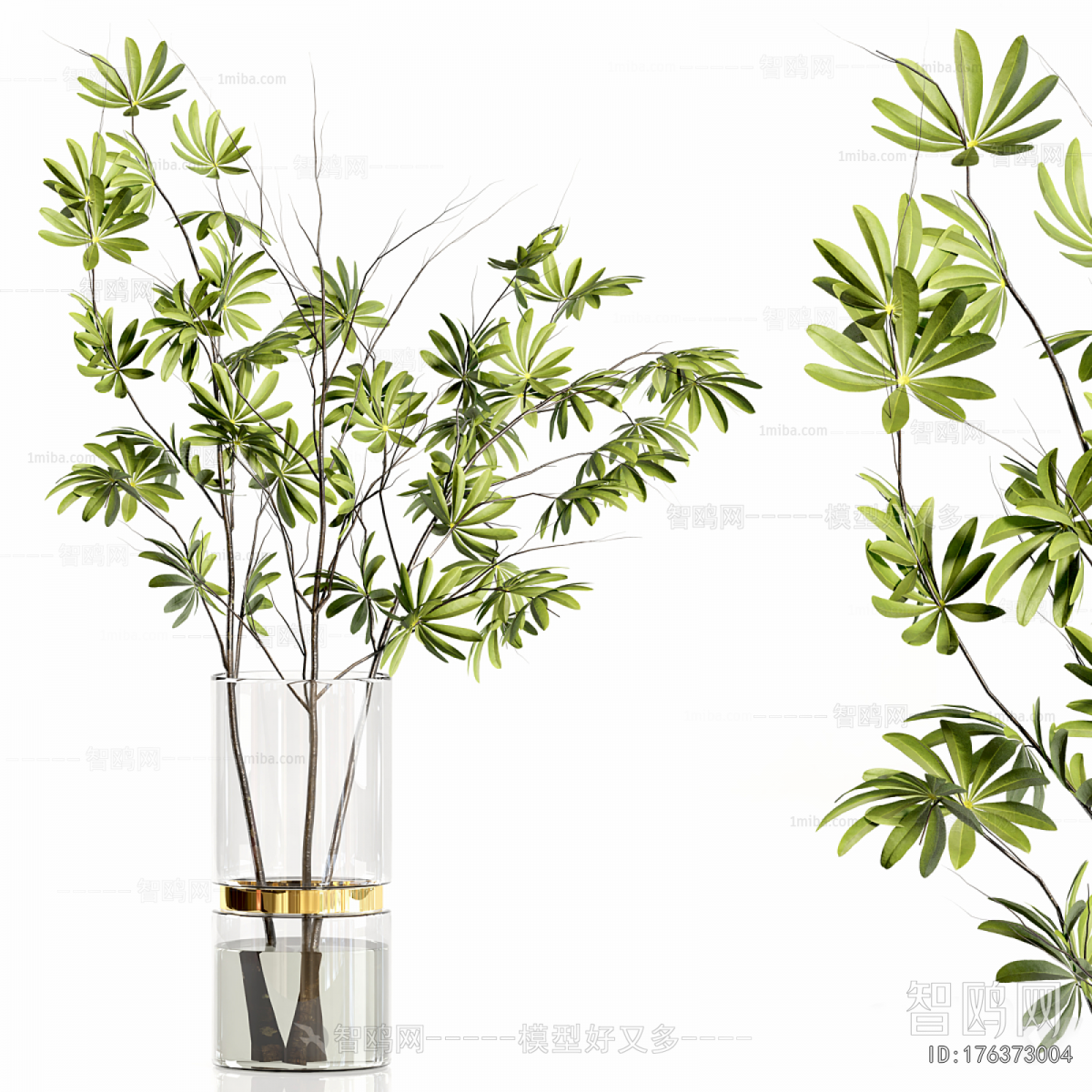 Modern Aquatic Green Plant